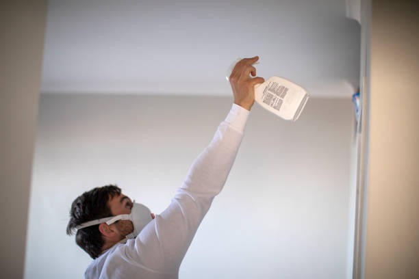 Best Mold Removal Specialists  in Mono Vista, CA