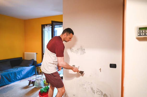 Best Emergency Mold Removal  in Mono Vista, CA